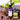 Grapeseed — Carrier Oil