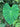 Heart-shaped green leaf surrounded by lush forest foliage, symbolising heart chakra awakening