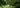 Tranquil green park with lush foliage and a winding path through the trees