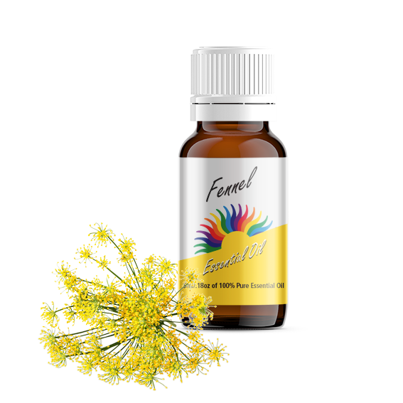 Fennel Essential Oil