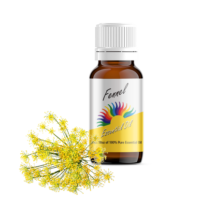 Fennel Essential Oil