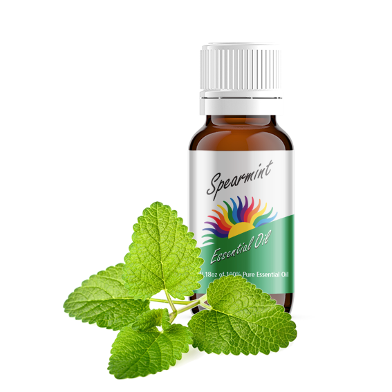 Spearmint Essential Oil