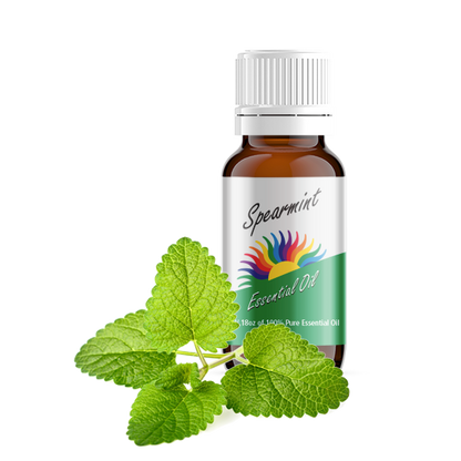 Spearmint Essential Oil