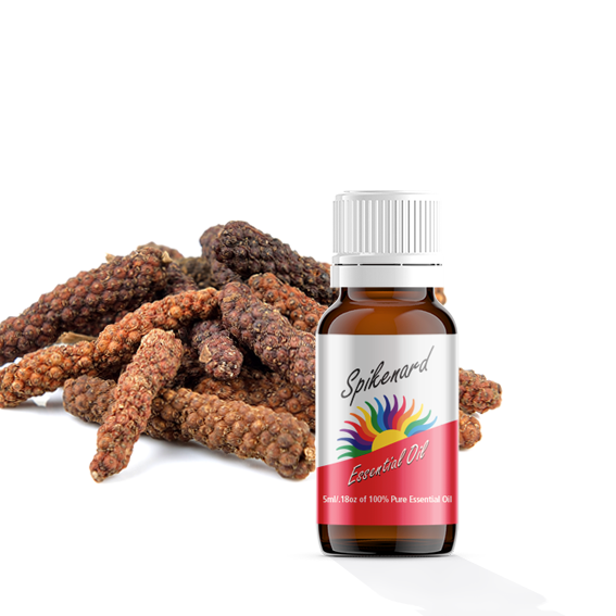 Spikenard Essential Oil