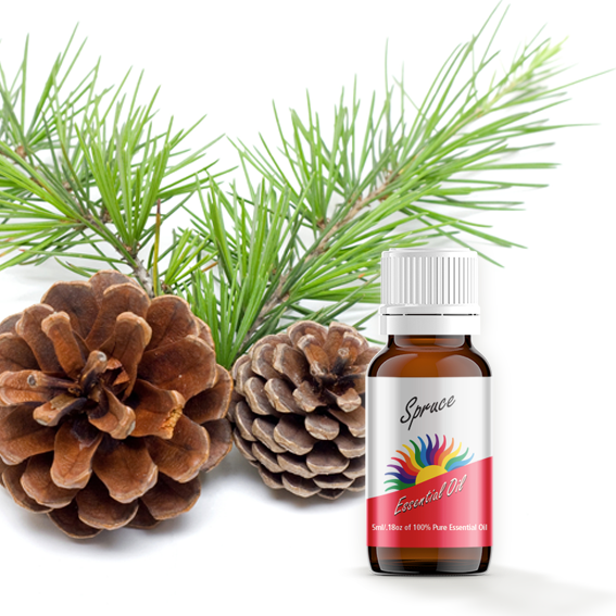 Spruce Essential Oil